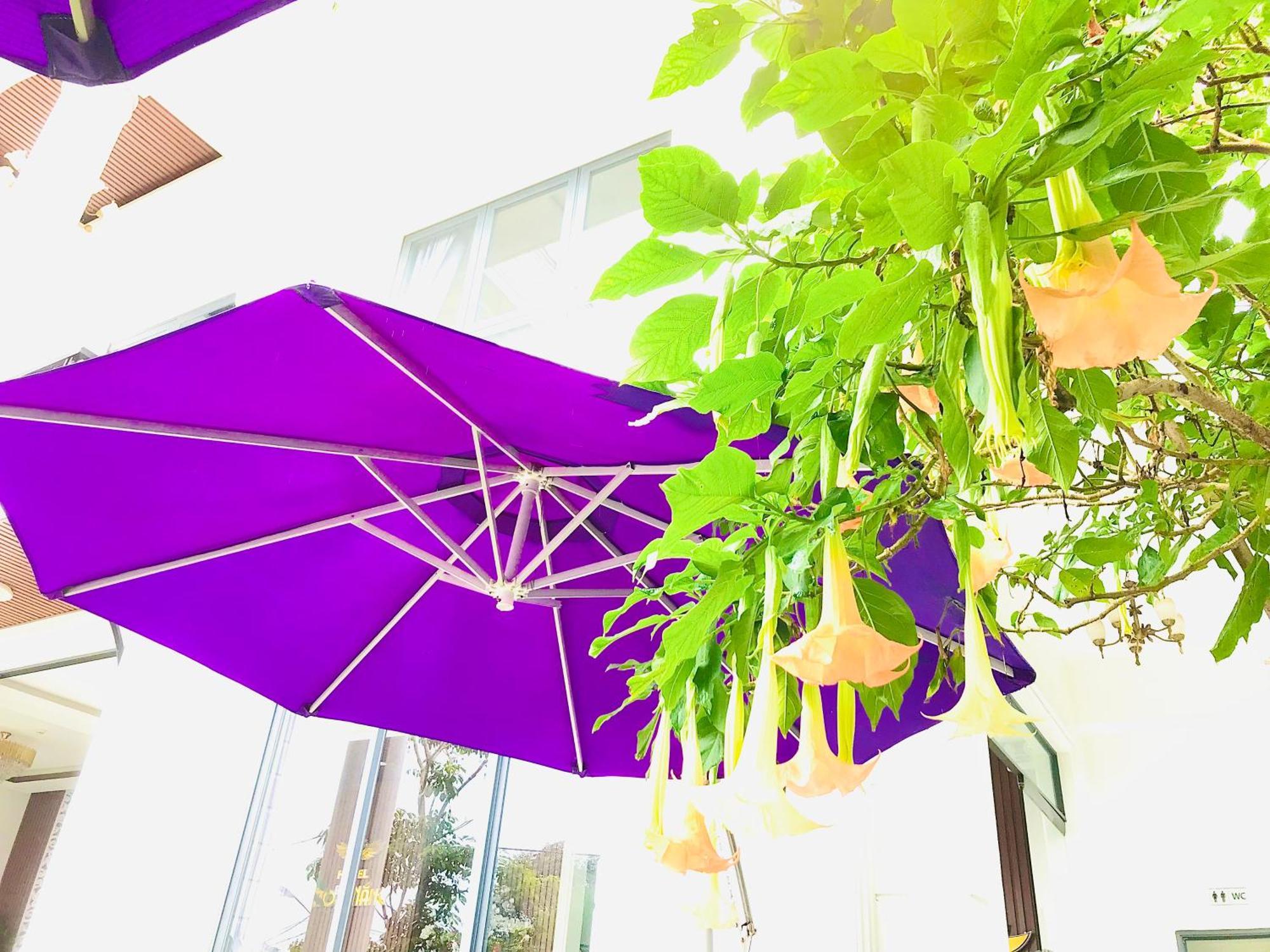 Hotel Hoa NáNg バオロク エクステリア 写真