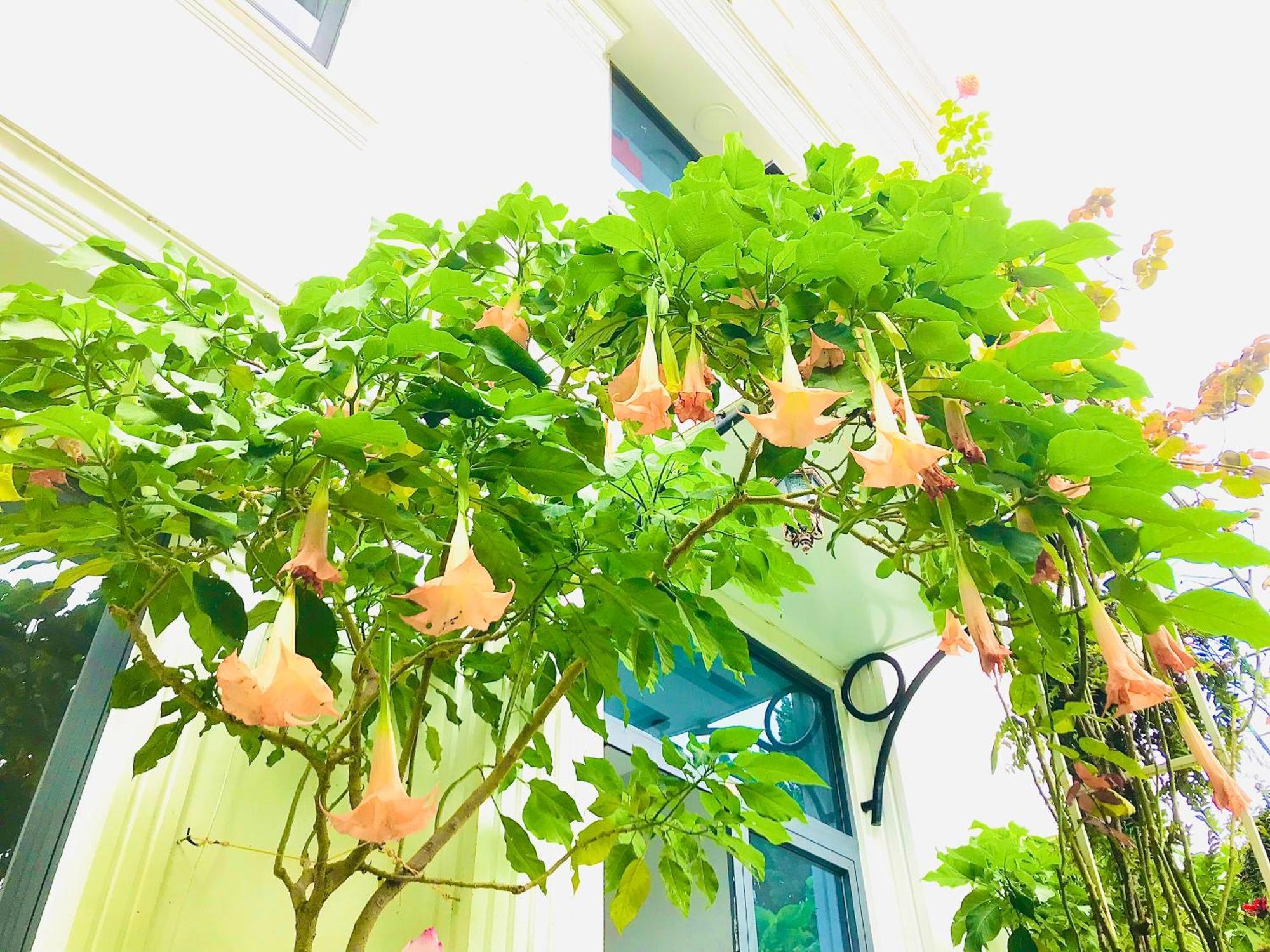 Hotel Hoa NáNg バオロク エクステリア 写真