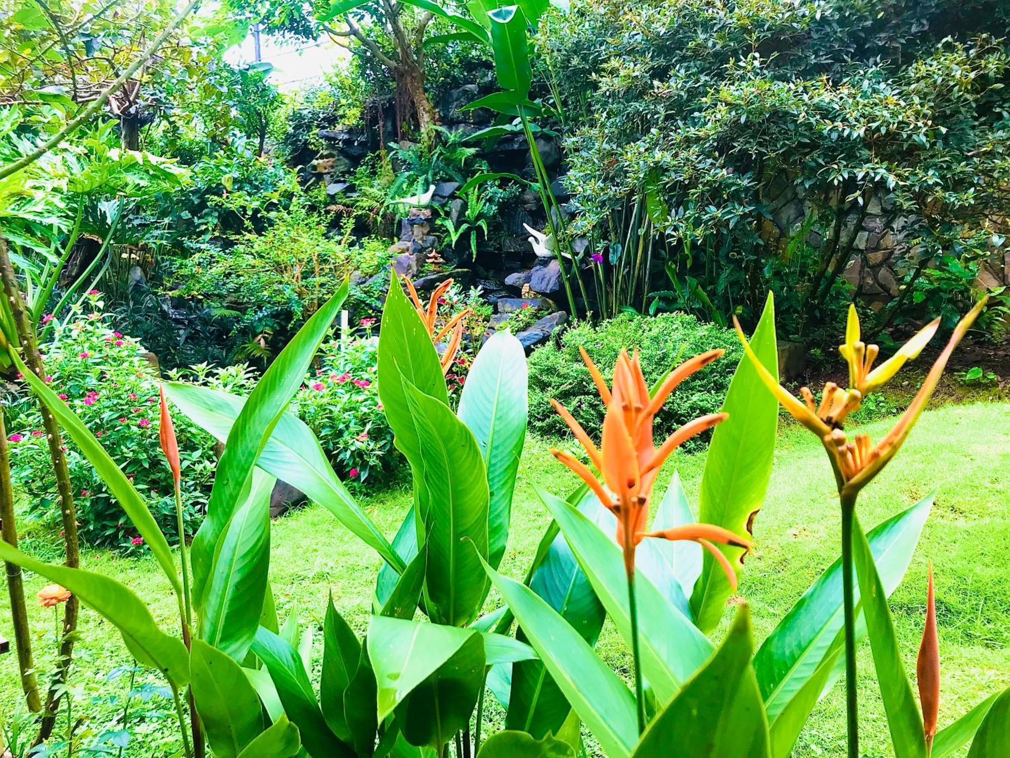 Hotel Hoa NáNg バオロク エクステリア 写真