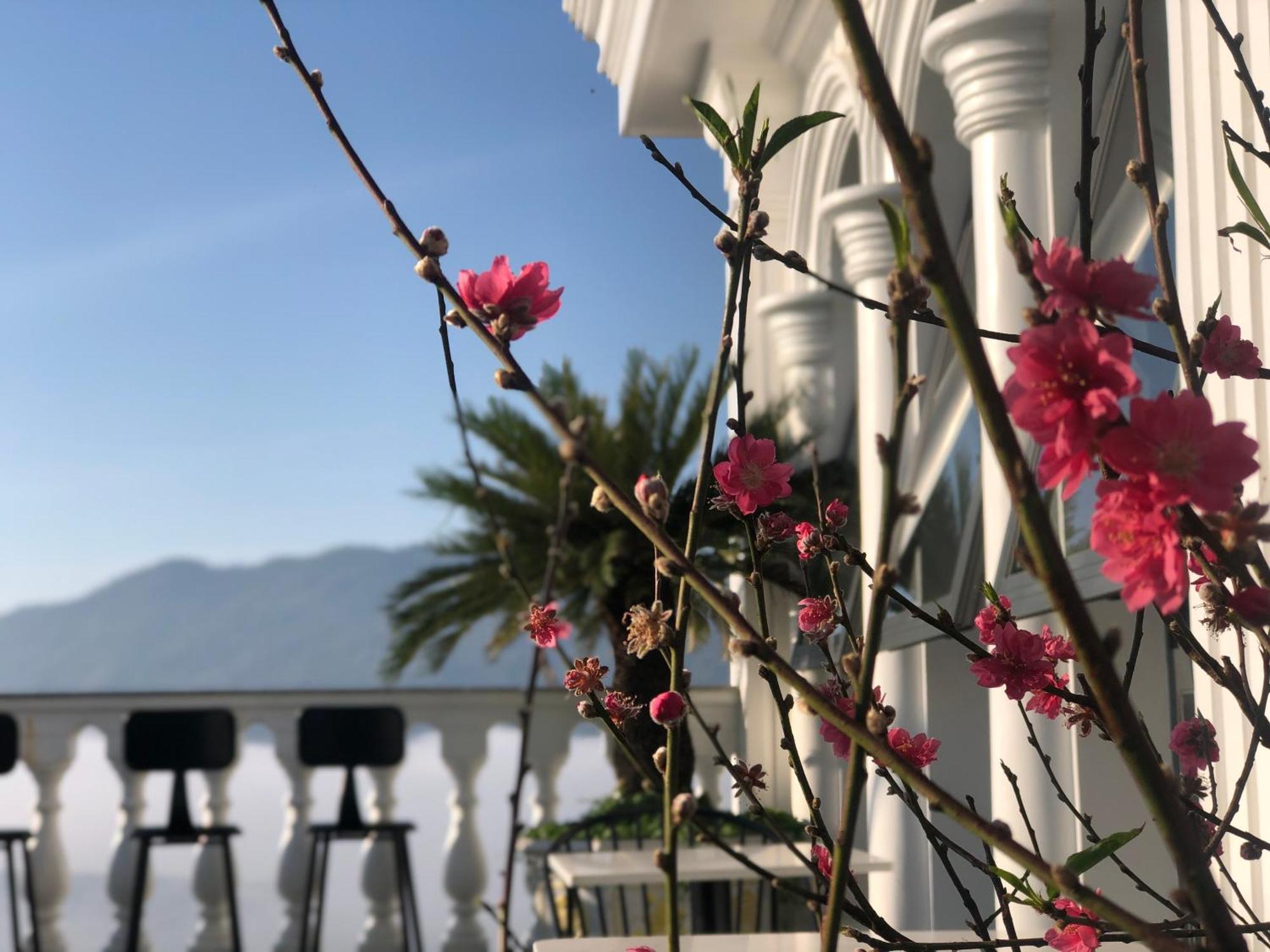 Hotel Hoa NáNg バオロク エクステリア 写真