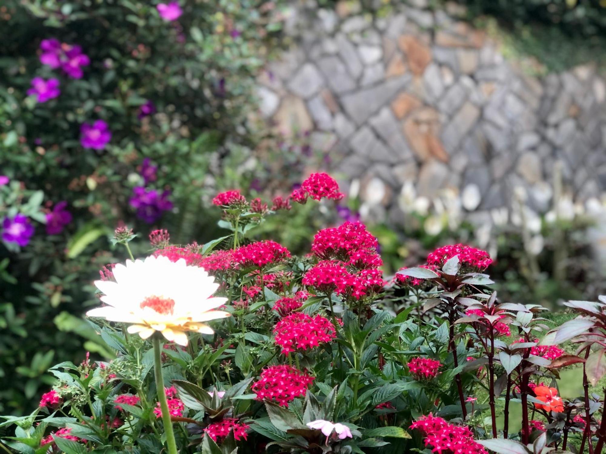 Hotel Hoa NáNg バオロク エクステリア 写真