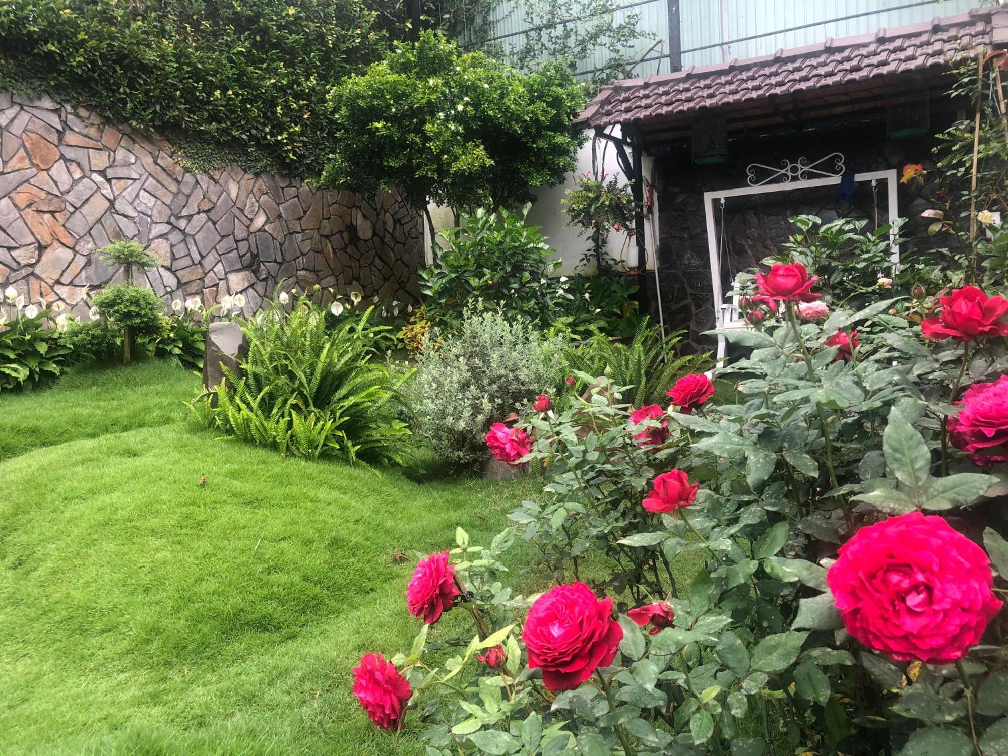 Hotel Hoa NáNg バオロク エクステリア 写真